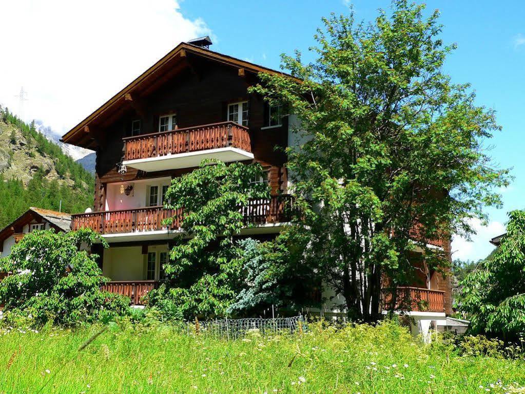 Haus Alpenperle Appartement Saas-Almagell Buitenkant foto