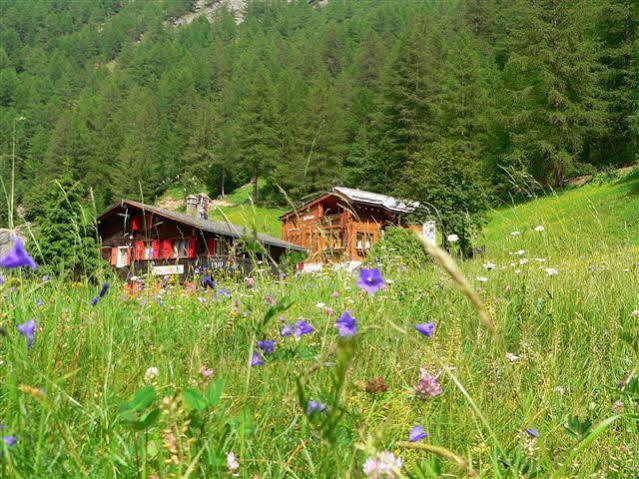 Haus Alpenperle Appartement Saas-Almagell Buitenkant foto